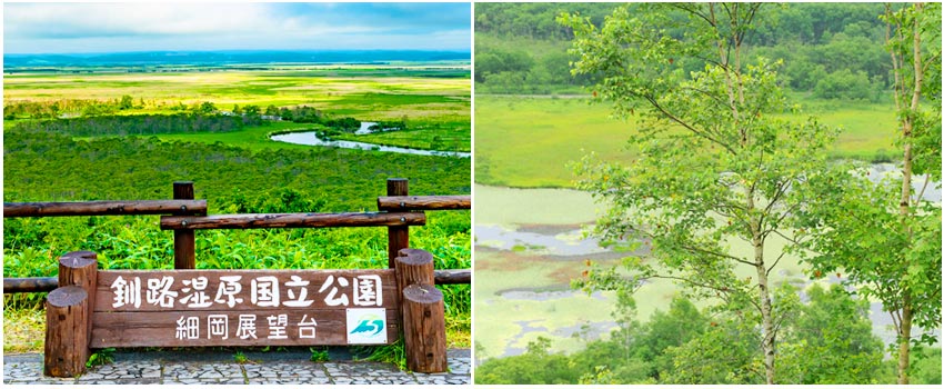 釧路濕原瞭望台